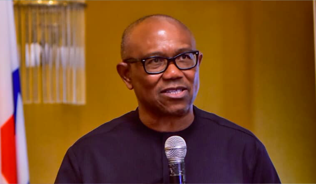 We Need to Attract Foreign Investors not Chase after Them – Peter Obi 