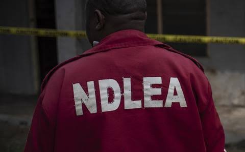 Court orders substituted service on NDLEA officials